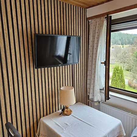Am Wehrastrand App 5 * Todtmoos