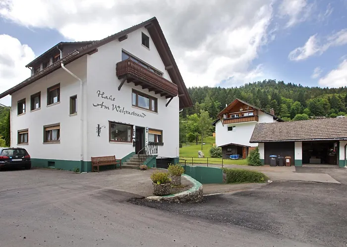 Am Wehrastrand App 5 * Todtmoos